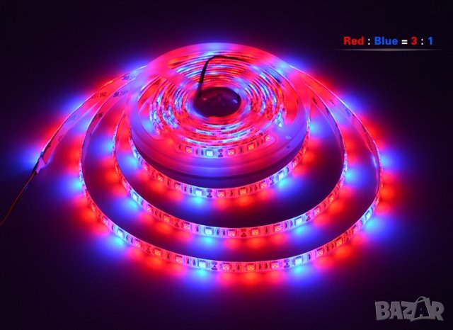 Фито диодна led лента за бърз растеж SMD 5050  12V 60led/m
