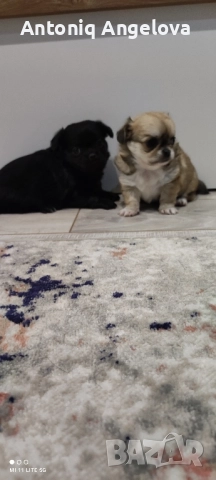 две момиченца 