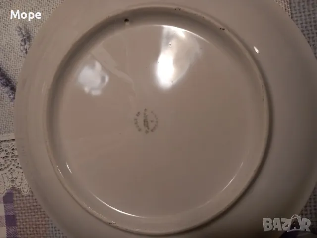 Порцеланова чиния община Нови Искър , снимка 4 - Чинии - 47751965