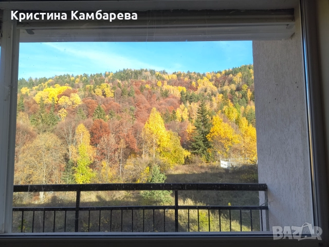 Апартамент в Рила планина, снимка 10 - Апартаменти - 52287396