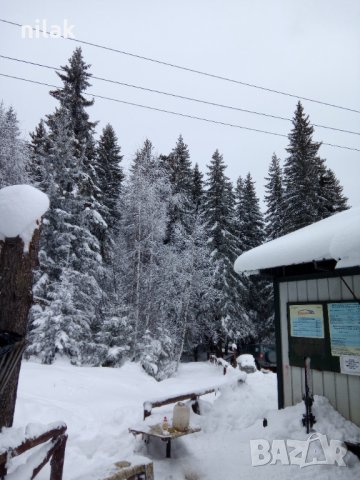 Преподавам Индивидуални уроци по ски , снимка 2 - Спорт, танци, изкуство - 38915802