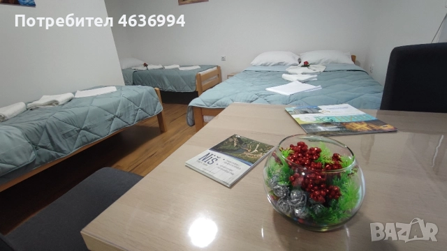 Апартамент под наем Ниш, снимка 13 - Апартаменти - 52410699