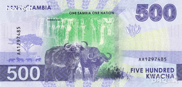 ❤️ ⭐ Замбия 2024 500 квача UNC нова ⭐ ❤️, снимка 3 - Нумизматика и бонистика - 53185258