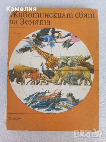 Животинският свят на Земята, снимка 1