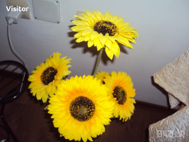  Sony Cyber-shot DSC-W180 10.1MPx, снимка 13 - Фотоапарати - 52676616