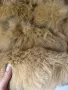 Кожух естествен косъм/лисица, снимка 3