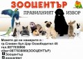 DR. BASSLEER BIOFISH FOOD REGULAR - насипна, снимка 4