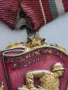 Орден медал за СОЦИАЛИСТИЧЕСКА РОДИНА НРБ, снимка 2