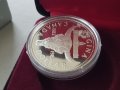 1 сребърен долар 1982 година Канада Елизабет II сребро в ТОП качество, снимка 3