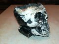 череп пепелник 1105222034, снимка 5
