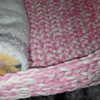 Ръчно плетено легло с одеялце за куче или котка, снимка 2 - За кучета - 43683451