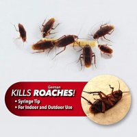 Ефикасна отрова за хлебарки / Инсектицид срещу хлебарки, снимка 3 - Други стоки за дома - 38399376