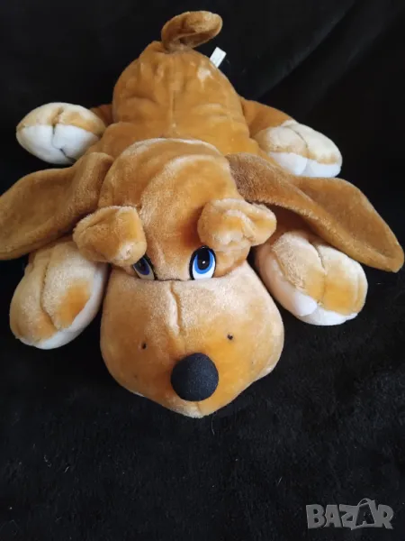 Куче Burzakov /  Бързаков , снимка 1