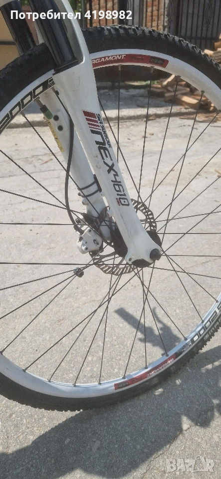 бергамонт, снимка 1