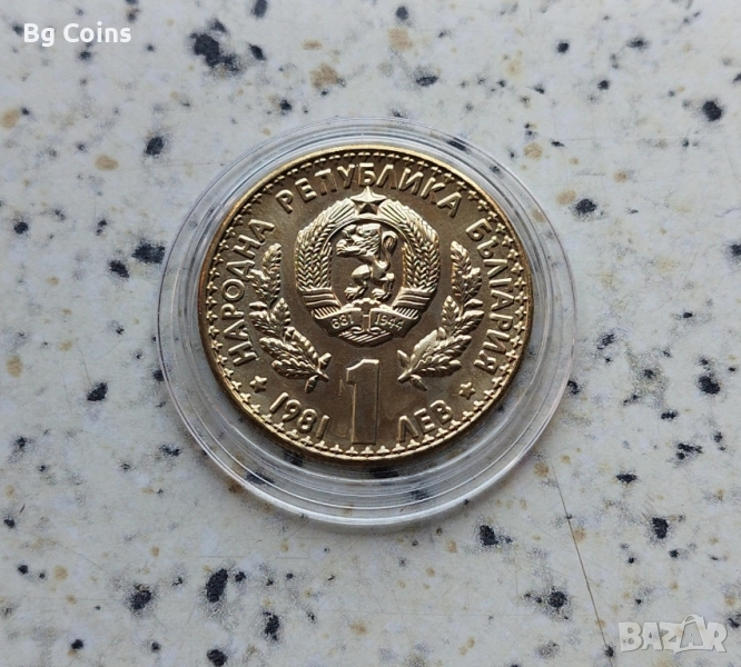 1 лев 1981 Ловно изложение , снимка 1