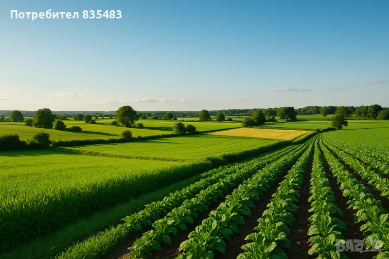 Земеделска земя 3 и 4 категория Силистра, снимка 1