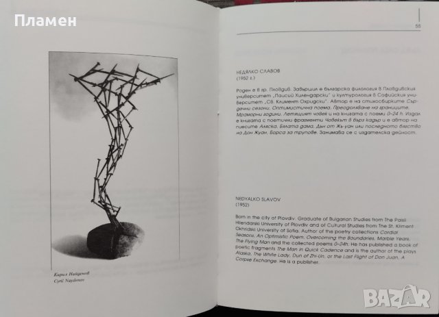 Съвременни пловдивски поети / Contemporary poets of Plovdiv, снимка 3 - Българска литература - 39477651