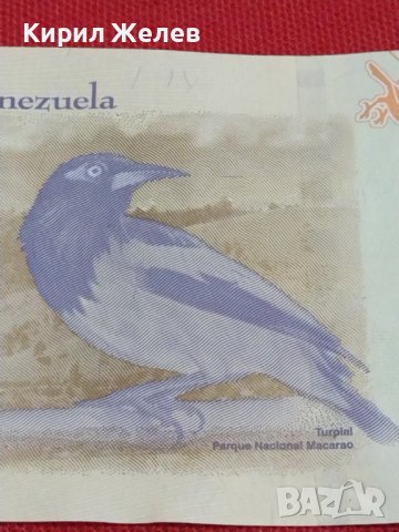 БАНКНОТА ВЕНЕЦУЕЛА МНОГО КРАСИВА СТИЛЕН ДИЗАЙН ПЕРФЕКТНО СЪСТОЯНИЕ ЗА КОЛЕКЦИЯ 36732, снимка 8 - Нумизматика и бонистика - 39862920