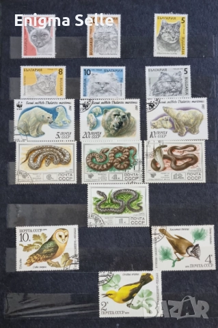 Колекция от пощенски марки , снимка 8 - Филателия - 52777571