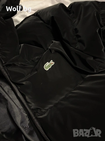 Зимно яке lacoste , снимка 2 - Якета - 53155635