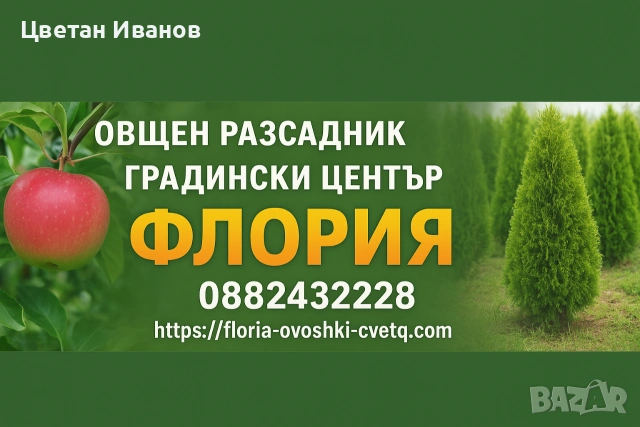 Продавам Овощни Дръвчета