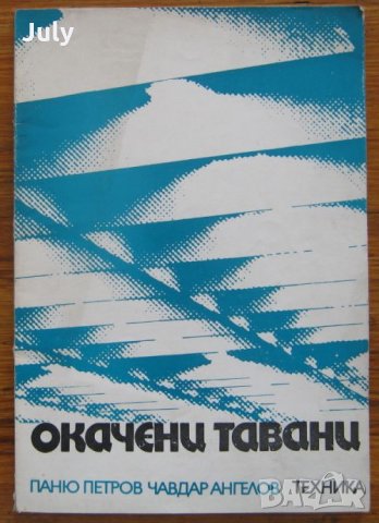 Окачени тавани, Паню Петров, Чавдар Ангелов, снимка 1 - Специализирана литература - 32536144