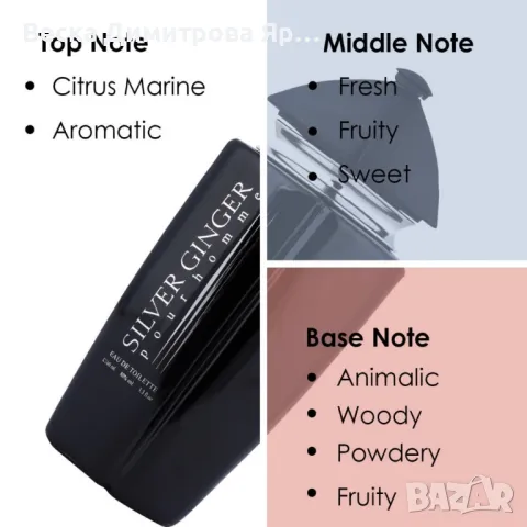 Парфюм Silver Ginger by BN, U n i s e x, Eau de toilette 100ml, снимка 5 - Унисекс парфюми - 49842699