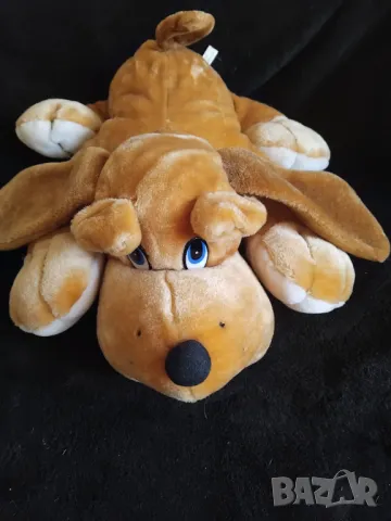 Куче Burzakov /  Бързаков 