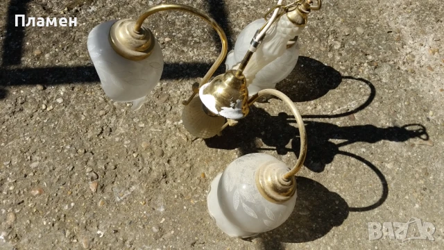 Полилей троен