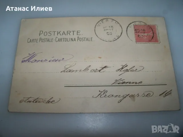 Красива австрийска пощенска картичка цветя,  1903г., снимка 3 - Филателия - 49600653