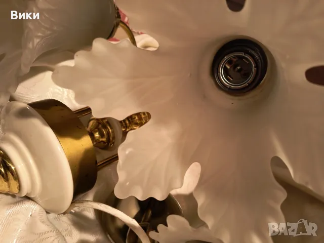 Полилей, снимка 12 - Полилеи - 34571311