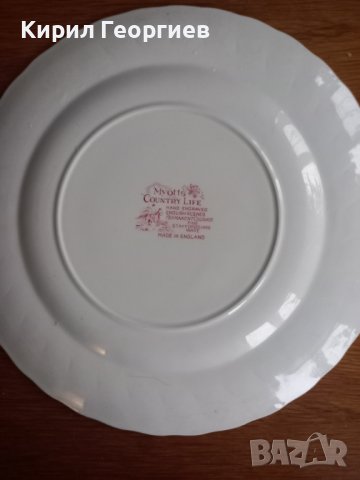 Красива ръчно рисувана порцеланова  чиния чиния , снимка 2 - Чинии - 38921150