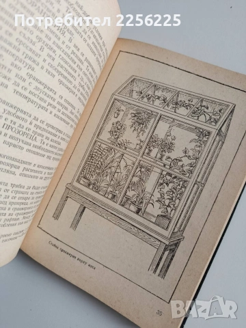 ЛОТ Стайни растения, снимка 2 - Специализирана литература - 53564703