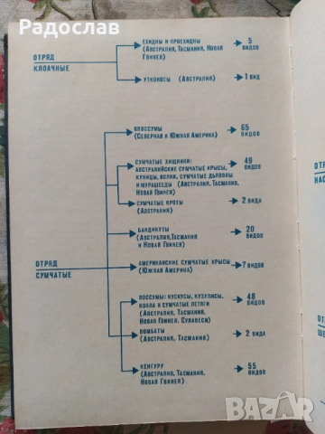 Мир животных  Игорь Акимушкин, снимка 6 - Енциклопедии, справочници - 51937953