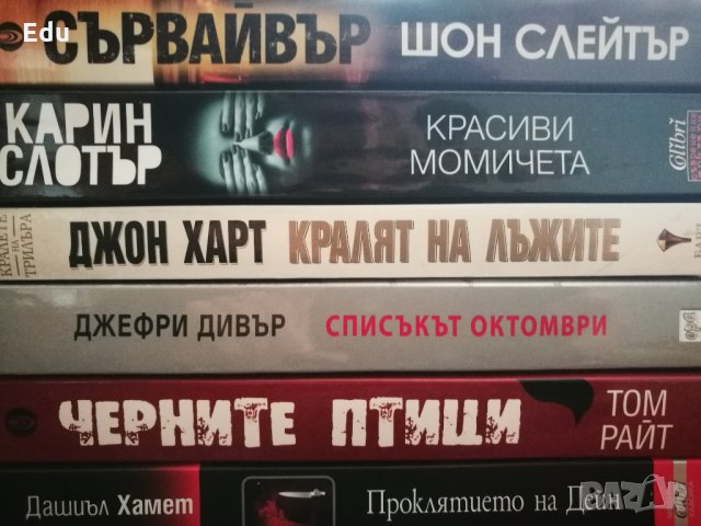 Книги на Даниел Стийл, Фицджералд, Павоун, Агата Кристи, Майкълидис, Конъли, Хейли, снимка 8 - Художествена литература - 25111417