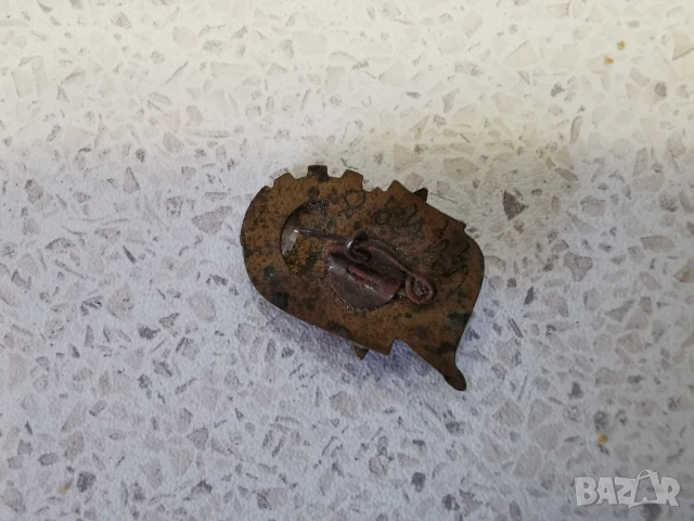 ЗНАЧКА-ЕМАЙЛБРОНЗ, снимка 3 - Колекции - 50566642