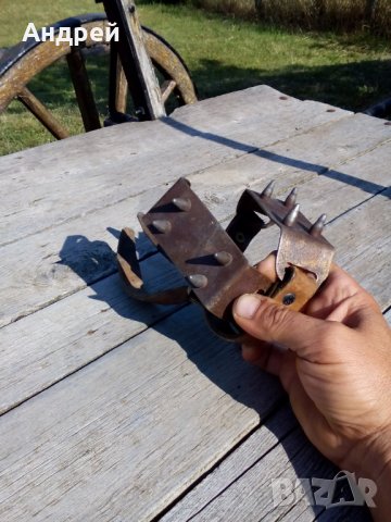 Стари котки #2, снимка 3 - Антикварни и старинни предмети - 26328331