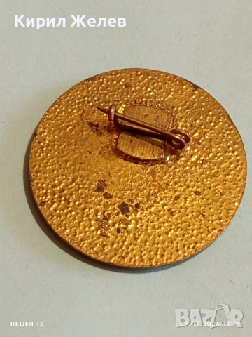 Рядка значка 75г. МЕЖДУНАРОДНА ГОДИНА на ЖЕНАТА за КОЛЕКЦИЯ 53547, снимка 5 - Колекции - 53367851