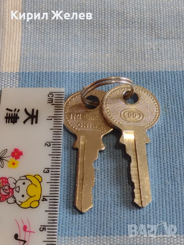 Два ключа за катинар за КОЛЕКЦИЯ ДЕКОРАЦИЯ БИТОВ КЪТ 29255, снимка 3 - Колекции - 44872771