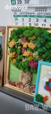 декорации ръчно изработени от жив скандинавски мъх и сапунени рози., снимка 16 - Декорация за дома - 52206003