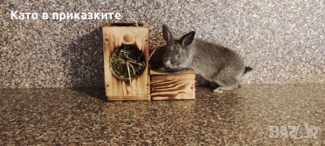 Хранилка за зайци дърво,Дървена хранилка с метална купа за гризачи, снимка 2 - Декоративни зайчета - 40169145
