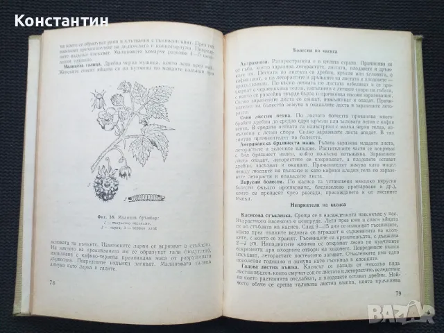 Календар на овощаря, снимка 3 - Специализирана литература - 50051065