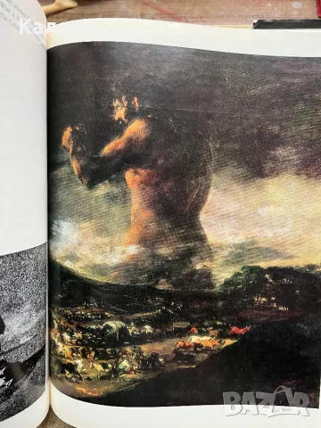 Стар албум на Гоя , снимка 9 - Специализирана литература - 48075673