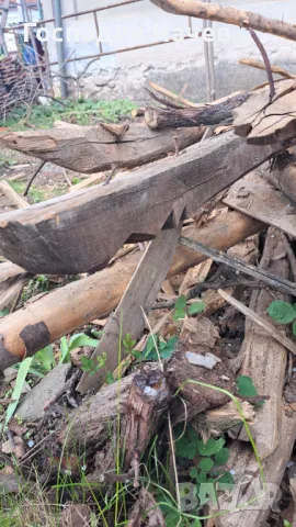 Стари дървени греди.  Дъб и Бук, снимка 7 - Строителни материали - 49548704