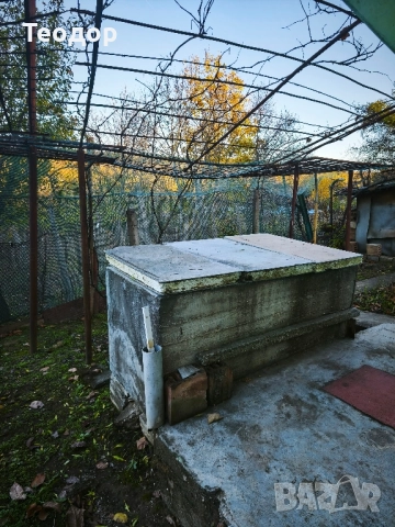 Продавам лозе с постройка, снимка 8 - Къщи - 52423608