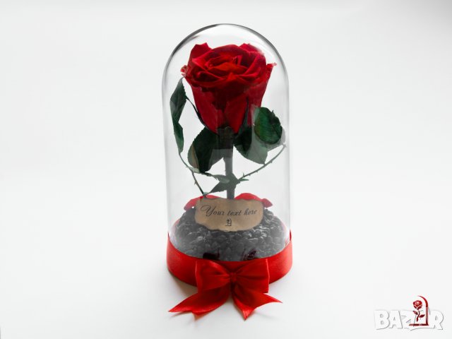Оригинален Подарък за Рожден Ден на Жена / Естествена Вечна Роза в Стъкленица / Жива Вечна Роза, снимка 12 - Подаръци за имен ден - 38771445