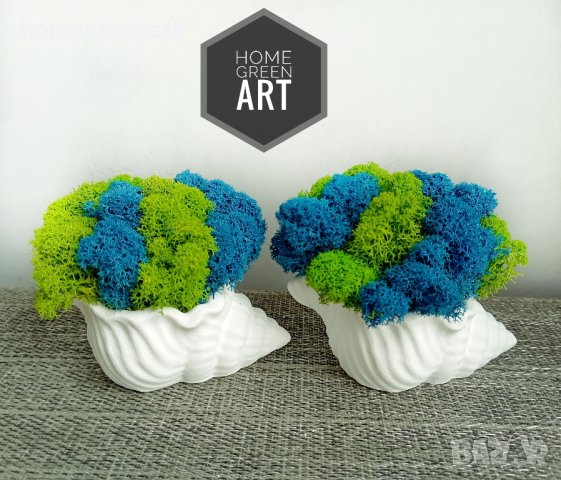 Малки керамични кашпи Раковина със скандинавски мъх, снимка 7 - Декорация за дома - 36512001
