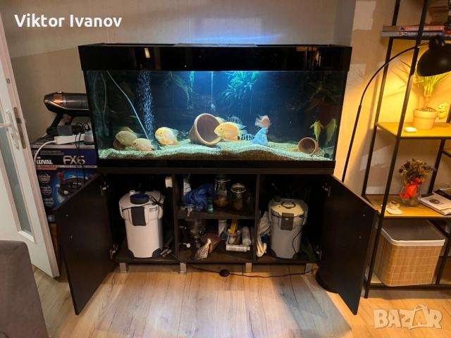 Дизайнерски кантиран аквариум с шкаф, снимка 5 - Аквариуми - 52969222