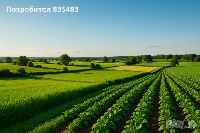 Земеделска земя 3 и 4 категория Силистра