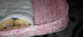 Ръчно плетено легло с одеялце за куче или котка, снимка 2